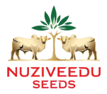nuziveedu